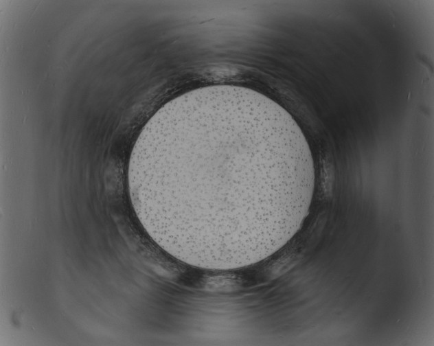 X0000103970461200810101312