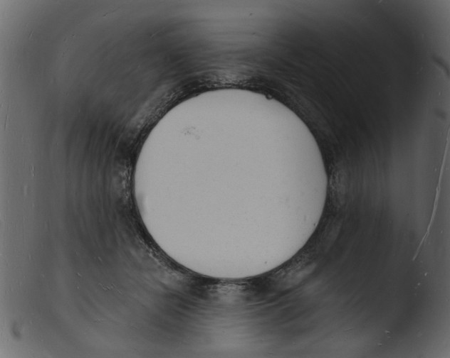 X0000103970462200810101312