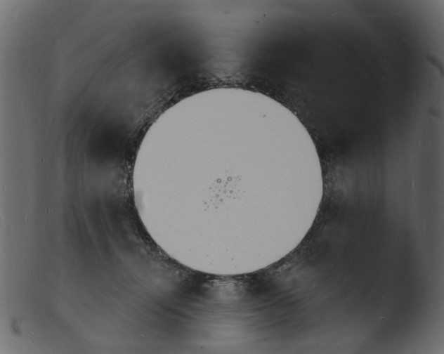 X0000103970464200810101312