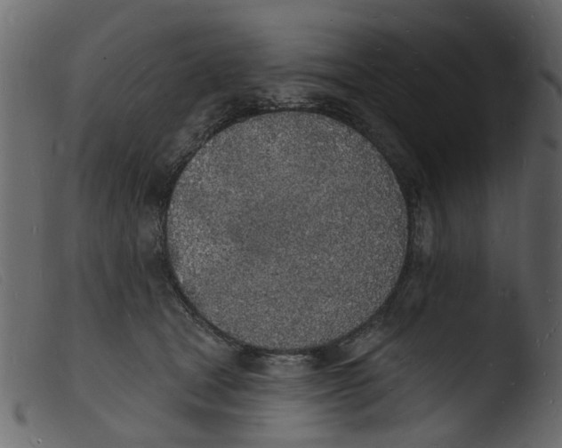 X0000103970465200810101312