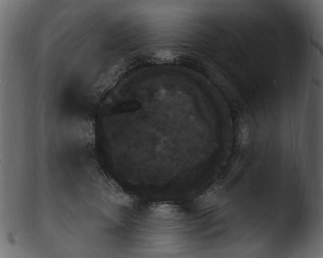 X0000103970467200810101312