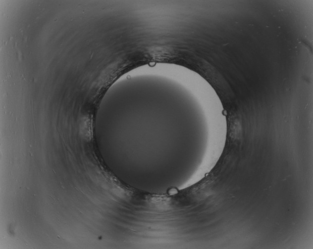 X0000103970471200810101312