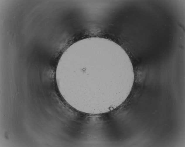 X0000103970472200810101312