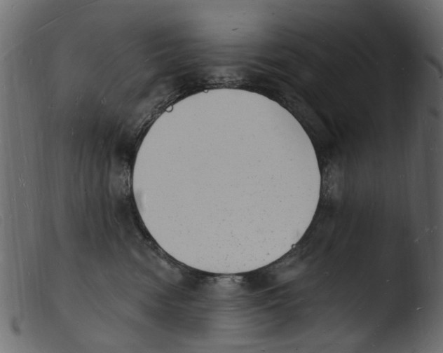 X0000103970474200810101312