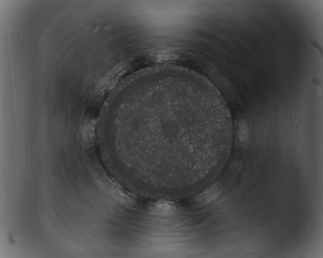 X0000103970475200810101312