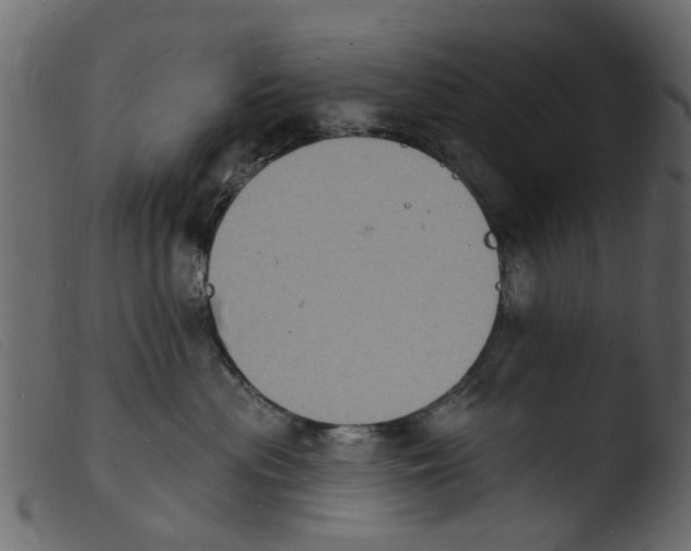 X0000103970477200810101312