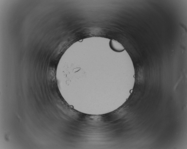 X0000103970478200810101312