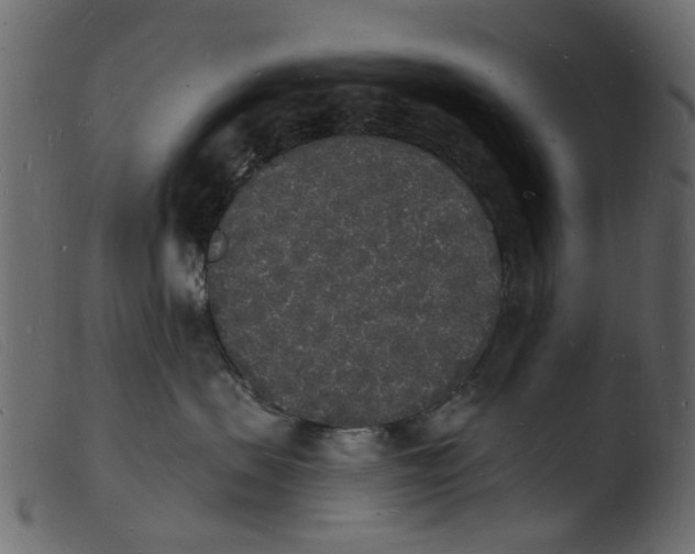 X0000103970479200810101312