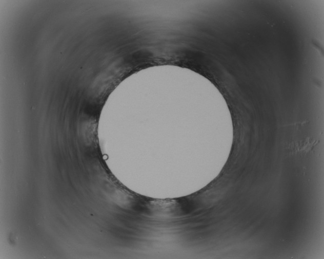 X0000103970480200810101312