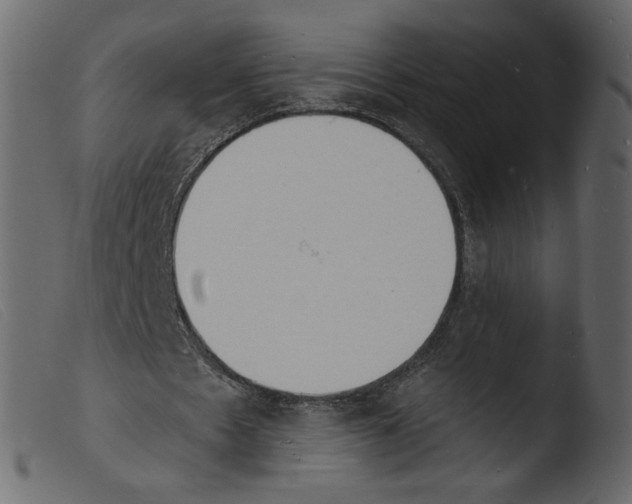 X0000103970481200810101312