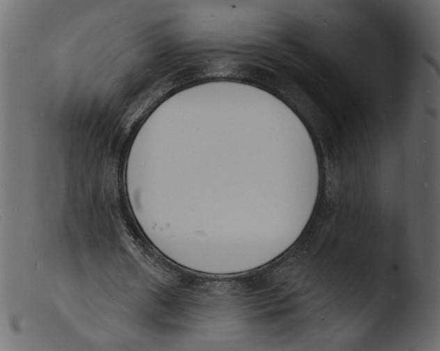 X0000103970482200810101312