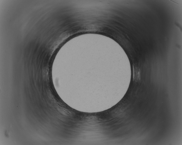 X0000103970483200810101312