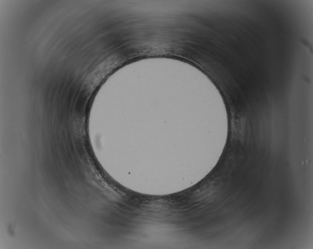 X0000103970485200810101312