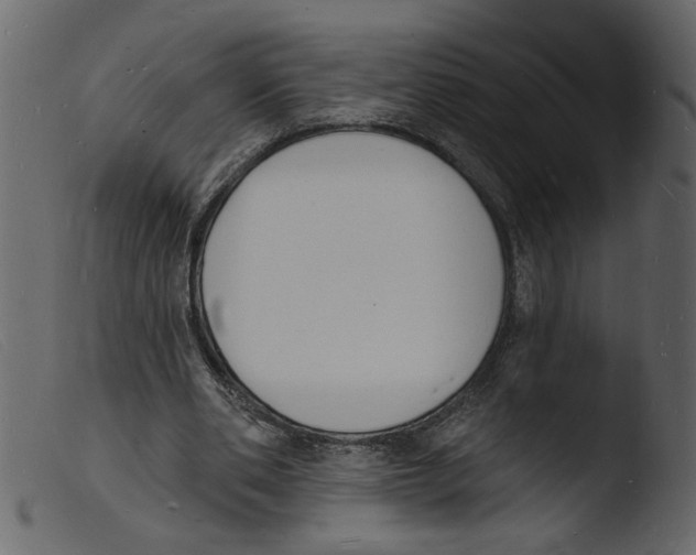 X0000103970486200810101312