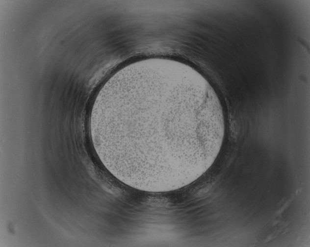 X0000103970487200810101312