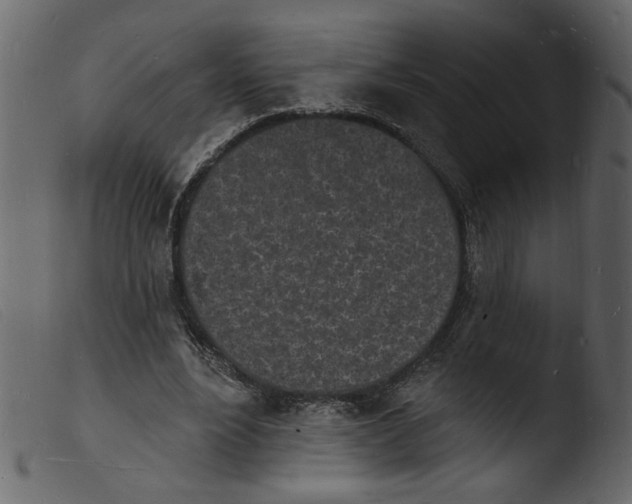 X0000103970488200810101312