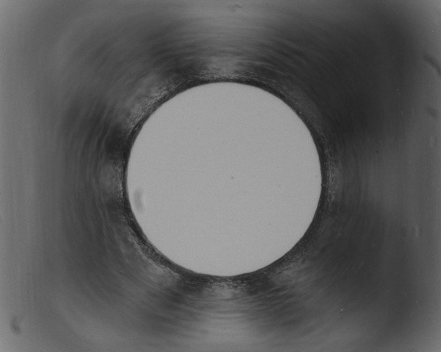 X0000103970489200810101312