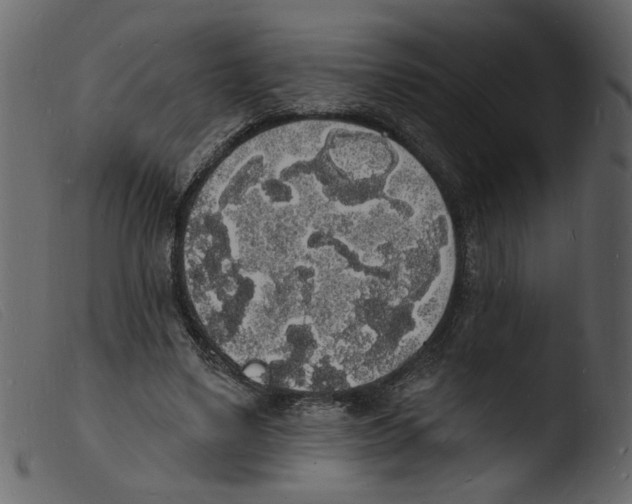 X0000103970491200810101311