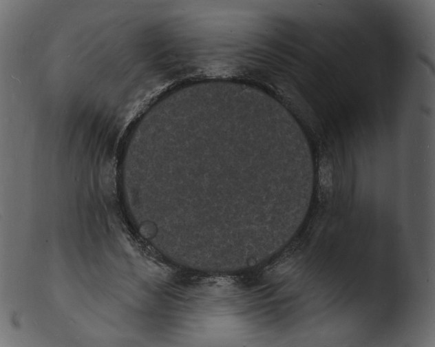 X0000103970492200810101311