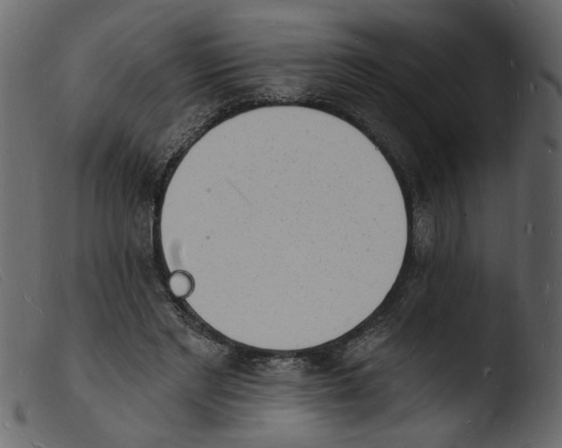 X0000103970493200810101311