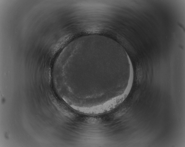 X0000103970494200810101311