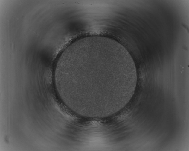 X0000103970496200810101311