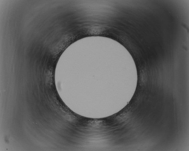 X0000103970497200810101311