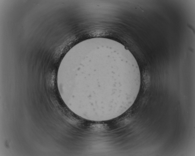 X0000103970499200810101311