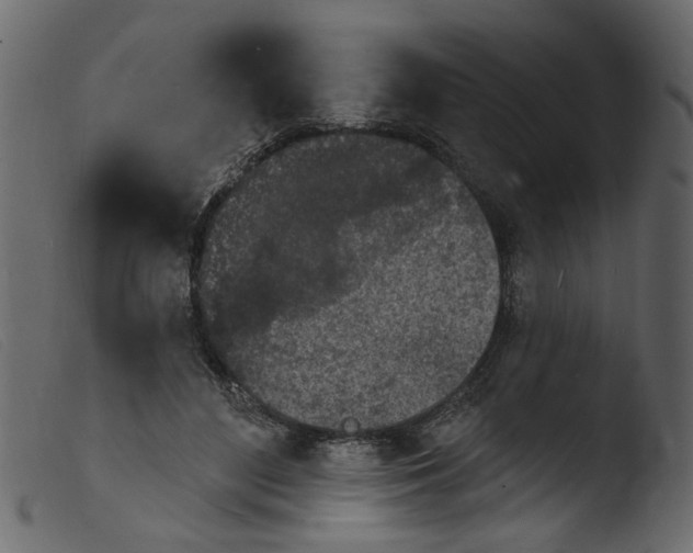 X0000103970500200810101311