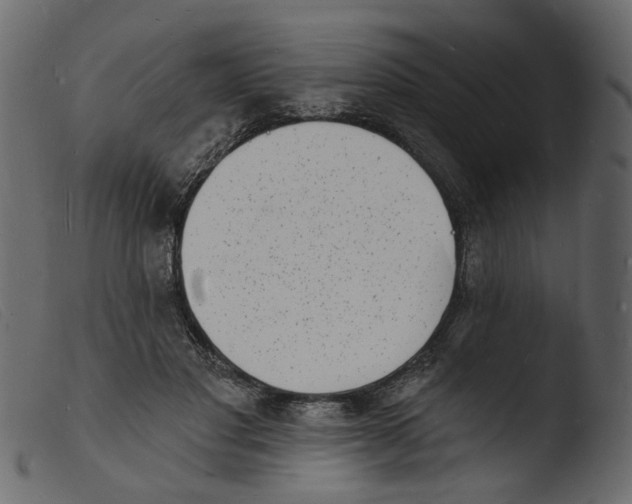 X0000103970501200810101311