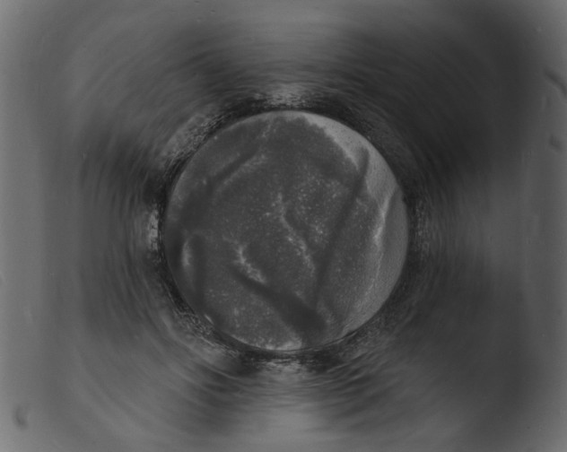 X0000103970502200810101311