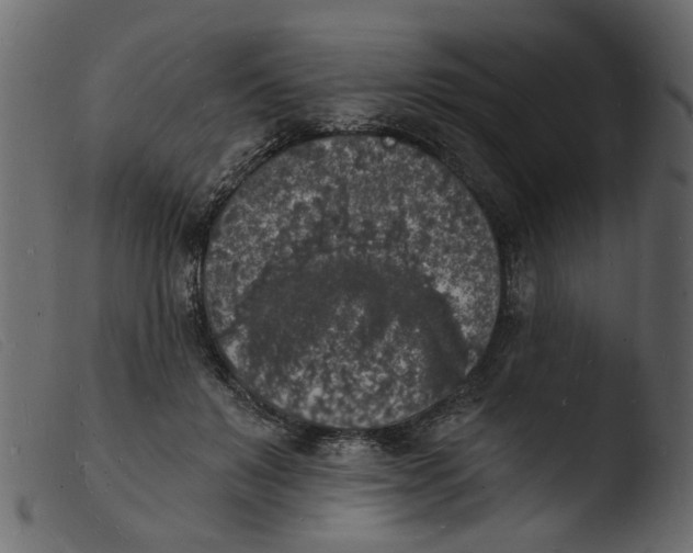 X0000103970503200810101311