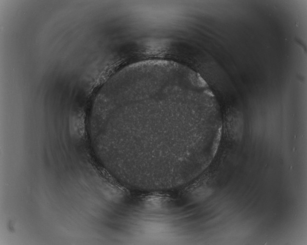 X0000103970504200810101311