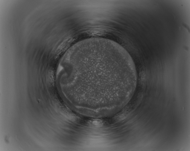 X0000103970506200810101311