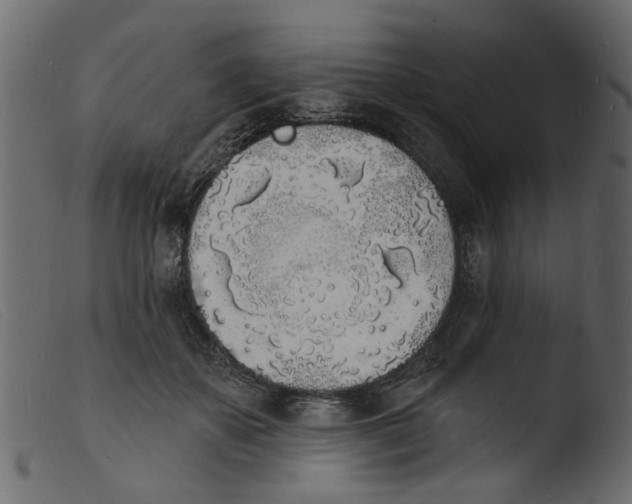 X0000103970507200810101311