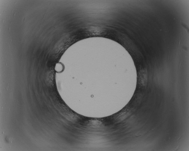 X0000103970509200810101311