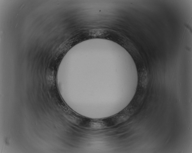 X0000103970510200810101311