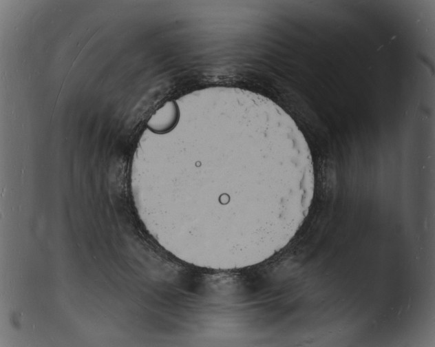 X0000103970511200810101311