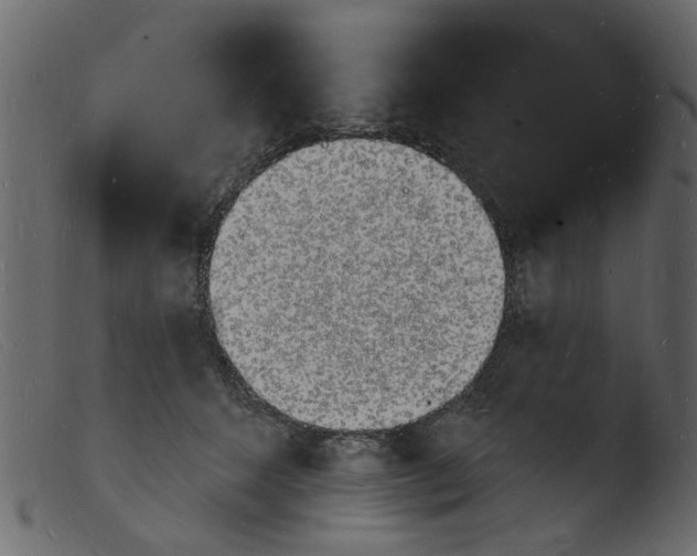 X0000103970512200810101311