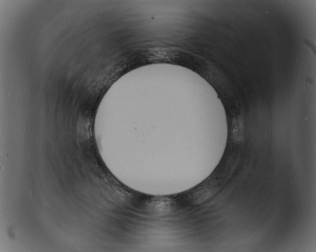 X0000103970514200810101311