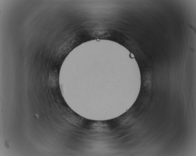 X0000103970515200810101311