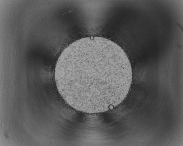 X0000103970516200810101311