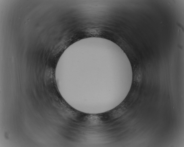 X0000103970518200810101311