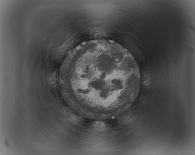 X0000103970519200810101311