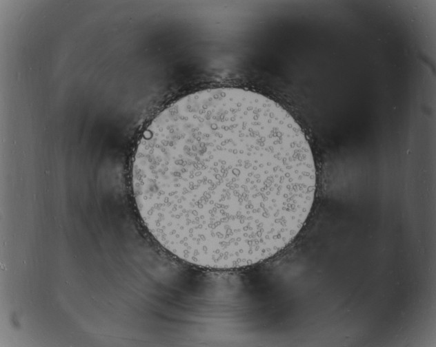 X0000103970520200810101311