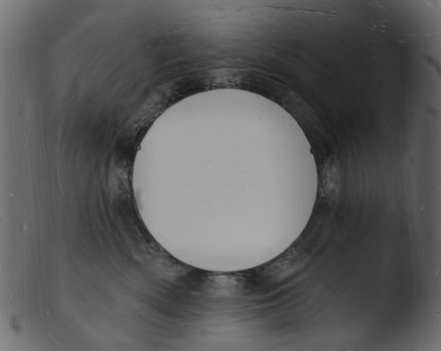 X0000103970522200810101311