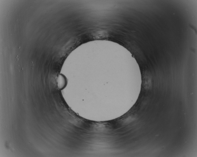 X0000103970523200810101311