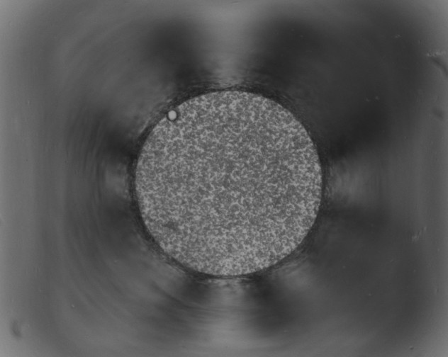 X0000103970524200810101311