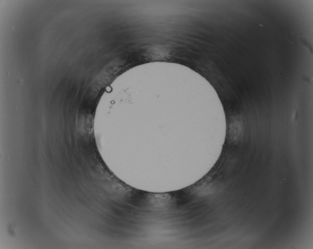 X0000103970525200810101311