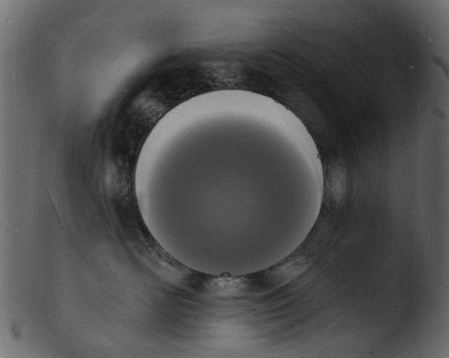 X0000103970526200810101311